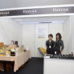 Exhibition Village (18)