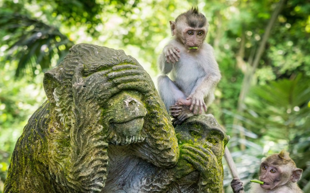 Monkey Forest Terletak Pada Ubud