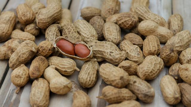Inilah beberapa manfaat kacang tanah bagi kesehatan